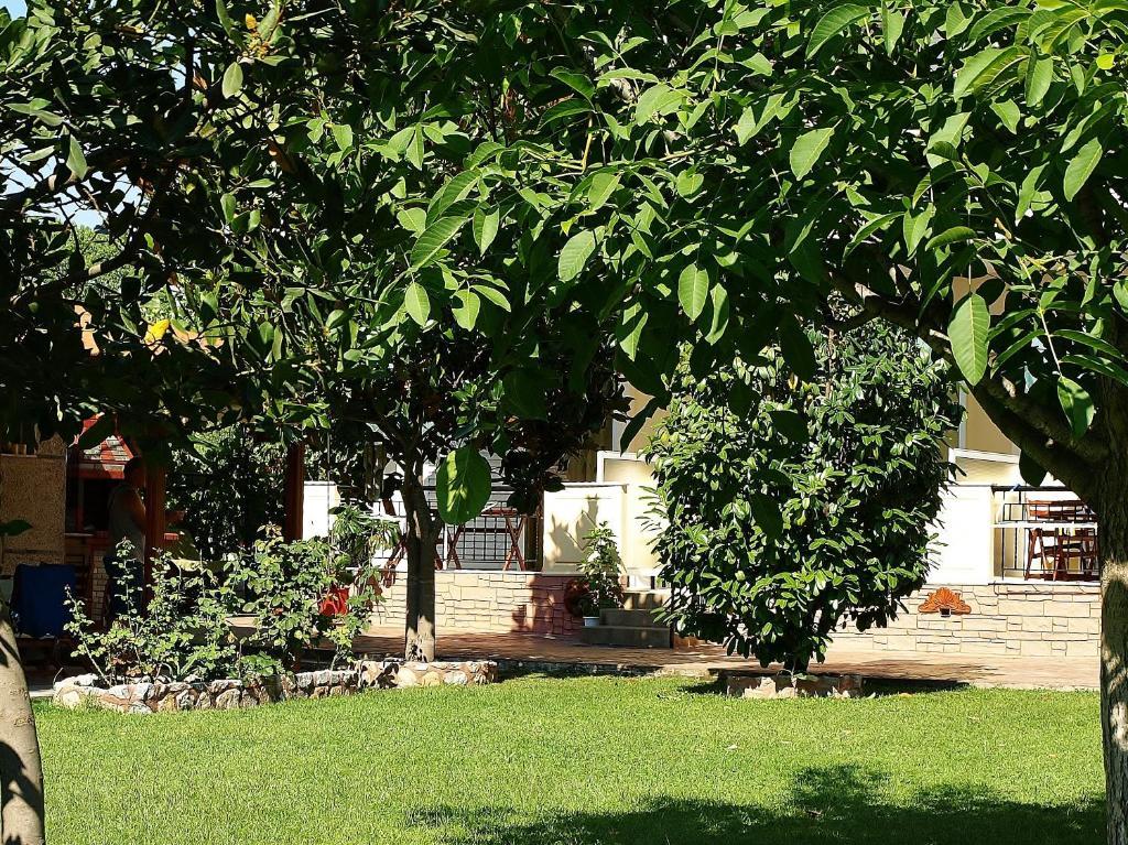 Apartament Dionysos Asprovalta Zewnętrze zdjęcie